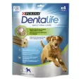 DentaLife male rase 25-40kg