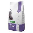 NP adult AB jagnjetina 12kg